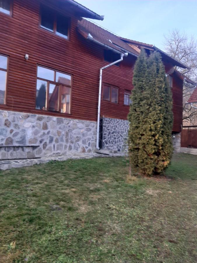 Pensiunea Codru Sălciua de Jos Eksteriør billede
