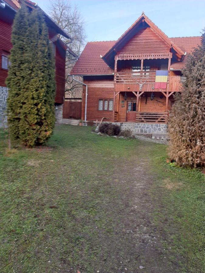Pensiunea Codru Sălciua de Jos Eksteriør billede